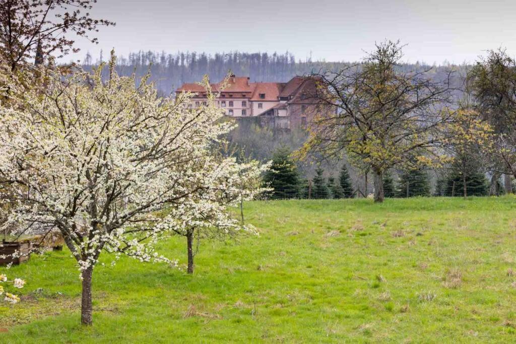 Maison Privilege Nature A La Petite Pierre Exterior photo